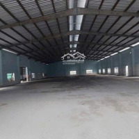 Cho Thuê Nhà Xưởng 5000M2 ( 2500M2 Xưởng ) Mặt Tiền Võ Văn Bích - Bình Mỹ - Củ Chi