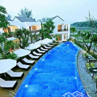 [Cơ Hội Kinh Doanh] Villa Nghỉ Dưỡng Cao Cấp, Gần Phố Cổ Hội An, Dòng Tiền Ổn Định