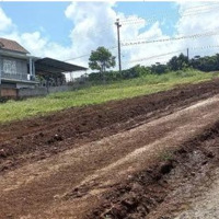 Bán Đất Hàng Độc Tại Lộc Quảng, Bảo Lâm – Giá Bán 13,25 Triệu/M², Diện Tích 308M²