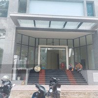 Tòa Nhà Mới Xây Mặt Tiền Trần Nhật Duật Khu Tân Định Quận 1