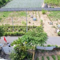 Đất Nền Sổ Đỏ Diên Lạc Liền Kề Trung Tâm Hành Chính Mới Diên Khánh - Nha Trang Giá Bán 800 Triệu/Nền