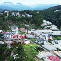 Bán Gấp Đất Mặt Tiền Trịnh Hoài Đức Đà Lạt 250M2 Full Thổ Cư Lưng Tựa Núi View Đẹp Gần Trung Tâm