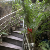 Bán Nhà Q1 View Sông, Đang Cho Thuê Như Ks,Diện Tíchđất 80M2, Dtxd Hơn 300M2, 5 Pn, 6 Toilet, 4 Lầu