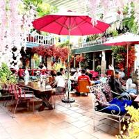 HÀNG VIP! 610 m2 MẶT TIỀN NGUYỄN ẢNH THỦ, ĐANG KINH DOANH CF NỔI TIẾNG NHẤT KHU VỰC 350TR/THÁNG. GIẢM THIỆN CHÍ 4 TỶ, GIÁ MỚI 54 TỶ