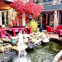 HÀNG VIP! 610 m2 MẶT TIỀN NGUYỄN ẢNH THỦ, ĐANG KINH DOANH CF NỔI TIẾNG NHẤT KHU VỰC 350TR/THÁNG. GIẢM THIỆN CHÍ 4 TỶ, GIÁ MỚI 54 TỶ