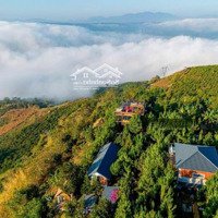 Chỉ Vớidiện Tích~1000M2 !! Có Suối Đá Lớn Bao Quanh Toàn Khu, Tạo Một Cồng Đồng Xây Dựng Làng Ô Trấn.