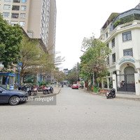 Chính Chủ Bán Bt Liền Kề Vov Mễ Trì, 95M2, 5 Tầng, 4 Phòng Ngủmặt Tiền5,5M2, Giá Cực Tốt Chỉ 24.9 Tỷ