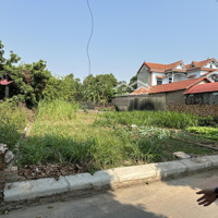 Em Bán Lô Đất Đẹp Tại Minh Phú, Sóc Sơn, Hà Nội 230M2 Full Thổ Cư