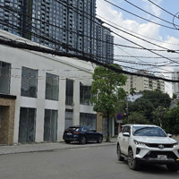 Lô Đất 10X15M Góc 2 Mặt Tiền Đường Võ Trường Toản Duy Nhất Còn Sót Lại, Được Cộng Thêm Hơn 100M2