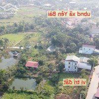 Bán Gấp, Lô Đất Mặt Đường Trục Chính Xã Yên Bài