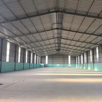 Cho thuê kho hoặc xưởng TP Thuận An 5600m2 pháp lý đầy đủ giá rẻ 150tr Bình Dương LH: 0972 701 709