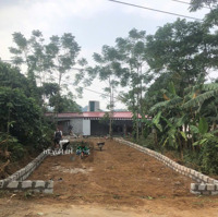 Chỉ Hơn 600 Triệu Có Ngay Lô Đất Códiện Tích180M2 Cách Đường Liên Xã 50M Sổ Hồng Sẵn Công