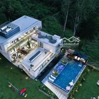 Bán Đất Xây Villa Cực Chill Cách Mỹ Đình 15P Lái Xe