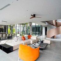 Bán Đất Xây Villa Cực Chill Cách Mỹ Đình 15P Lái Xe