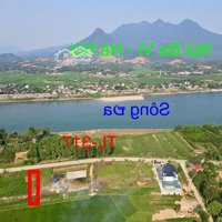 Bán Đất Thanh Thủy, Mặt Tỉnh Lộ 317, View Sông Đà, 200M2, Full Thổ Cư. Hành Lang 22M, Tổng Sd 400M2