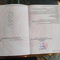 Chính Chủ E Cần Bán Lô Đất 98M Thôn Vệ Sơn Đông, Tân Minh, Sóc Sơn