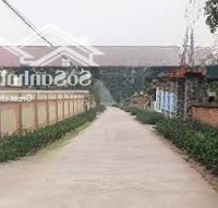 Bán Đất 114M2, Chính Chủ, Tại Thôn Viên Du Hoà, Xã Thanh Vân, Huyện Tam Dương, Vĩnh Phúc.