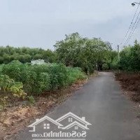 Bán Đất Gia Đình Cách Sân Bay Long Thành 5Km, 3.600M2, Shr, Giá Tốt 1.39 Triệu/M2