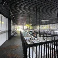 Cho Thuê Nhà Mặt Tiền Nguyễn Hữu Thọ - Hải Châu: 10M X 22M