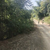 Cần Bán Gấp Lô Đất Bám Hồ Đẹp Miên Man Có Nhà Sàn Tại Kỳ Sơn, Thành Phố Hòa Bình