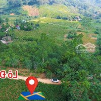 Wow Đẹp Hoàn Hảo Nhất Khu - View Núi Ba Vì - Cách Trường Quốc Tế Maya 1Km. Em Trung: 0903.455.996