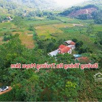 Wow Đẹp Hoàn Hảo Nhất Khu - View Núi Ba Vì - Cách Trường Quốc Tế Maya 1Km. Em Trung: 0903.455.996