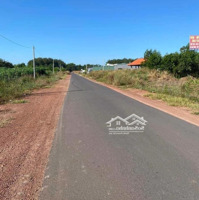 Chủ Kẹt Tiền Cần Bán Gấp Để Về Quê Ở Luôn 4000M2 Giá 250 Triệu/Sào Thích Hợp Làm Xưởng Công Chứng Ngay