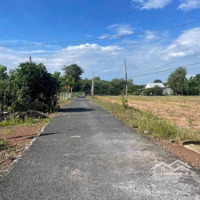 Chủ Kẹt Tiền Cần Bán Gấp Để Về Quê Ở Luôn 4000M2 Giá 250 Triệu/Sào Thích Hợp Làm Xưởng Công Chứng Ngay