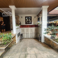 Biệt Thự Siêu Víp Dịch Vọng, Giá Rẻ, Ôtô, Phân Lô, 4 Tầng, 270M2, Mt20 - 65Tỷ