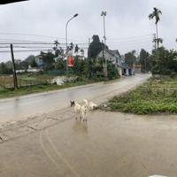 Bán Đất Trục Chính Phú Mãn , Làm Nhà Vườn Kinh Doanh Để Ở Đều Đẹp