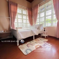 Villa Sân Vườn Mặt Tiền Đầu Đường Vạn Hạnh, Phường 8, Đà Lạt Rộng 350M2 Ngang 14M, Giá Chỉ 23.5 Tỷ