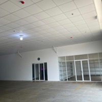 Cho Thuê 1230M2 Kho Đường Linh Trung, Phường Linh Trung,Thủ Đức