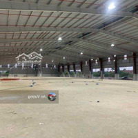 Cho Thuê Kho Tiêu Chuẩn Có Dock Cont, Pccc Tự Động Tại Hà Đông Dt: Từ 1000M2, 10.000M2