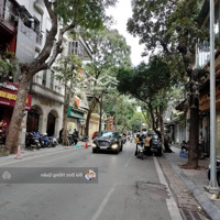 Mặt Phố Nguyễn Bỉnh Khiêm Hai Bà Trưng - Vị Trí Đẹp Kinh Doanh Đỉnh -Diện Tích157M2 Giá Chào 97 Tỷ