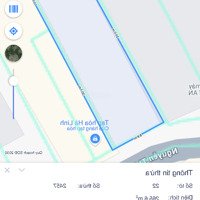 Bán Đất Tại Đường Nguyễn Thiện Thuật Cách Ktx Làng Đại Học 5 Phút, Phù Hợp Xây Nhà Trọ, Chdv