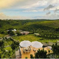 Bán Đất Bảo Lộc :1 Sào 695M2 200M2 Thổ Cư - Liền Kề Resort Đôi Dép -Thích Hợp Đầu Tư Nghỉ Dưỡng