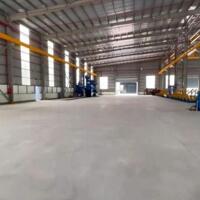 Cho Thuê 6.000m2 Nhà Xưởng Khu Vực Bàu Bàng - Bình Dương