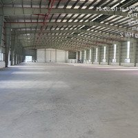 Hàng Độc Tại Kcn Nam Đình Vũ - Cho Thuê Kho, Nhà Xưởng, Đất 8778M2