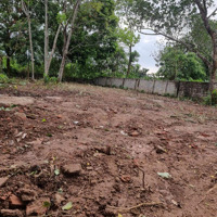 Cần Bán Đất Khu Vực Xã Hoàng Diệu Chương Mỹ Diện Tích Đất 336M2 Có Thương Lượng Nhẹ
