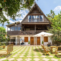 Cho Thuê Homestay , Ngô Tất Tố P.8 , 2000 M .14 Pn. Đầy Đủ Giấy Phép. View Đẹp.