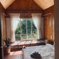 Cho Thuê Homestay , Ngô Tất Tố P.8 , 2000 M .14 Pn. Đầy Đủ Giấy Phép. View Đẹp.