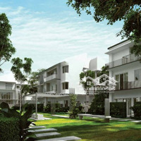 Bán Liền Kề Biệt Thự Khu Mansion - Hà Đông Giá Tốt Nhất Thị Trường