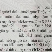 Bán Đất Đường Hưng Bình 1, 7,33 Triệu Vnd, 1855,8 M2, Pháp Lý Đầy Đủ