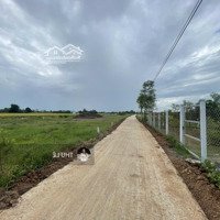 Siêu Phẩm Duy Nhất Tại Long Thuận, Gò Công, Tiền Giang - Bán Đất 600M2 Chỉ 800 Triệu Vnd