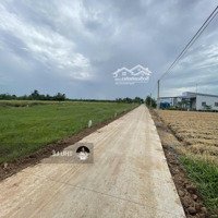 Siêu Phẩm Duy Nhất Tại Long Thuận, Gò Công, Tiền Giang - Bán Đất 600M2 Chỉ 800 Triệu Vnd