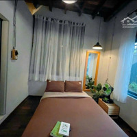 Homestay Đang Kinh Doanh Đường Trạng Trình, Cách Hồ Xuân Hương 500M2. Giá Bán 11 Tỷ