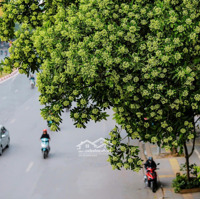 Siêu Phẩm Mặt Phố Nguyễn Chí Thanh, Đống Đa, Kd Đỉnh , 112M, 8 Tầng Thang Máy, M.tiền 5M, Giá Bán 65 Tỷ