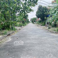 Tái Định Cư Hòa Nghĩa, Dương Kinh Giá Tốt Nhất Thời Điểm Hiện Tại Chỉ 1X Tr/M2
Diện Tích: 2