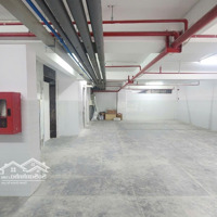 Cho Thuê Tòa Nhà 7 Lầu 1.650M2 Đường Chính Kdc Chánh Nghĩa, Thủ Dầu Một