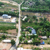 Bán 1000M2 Có 200M2 Đất Ở Xây Nhà Vườn Đường Nhựa Cao Ráo Mát Mẻ Gần Bà Nà Hills.